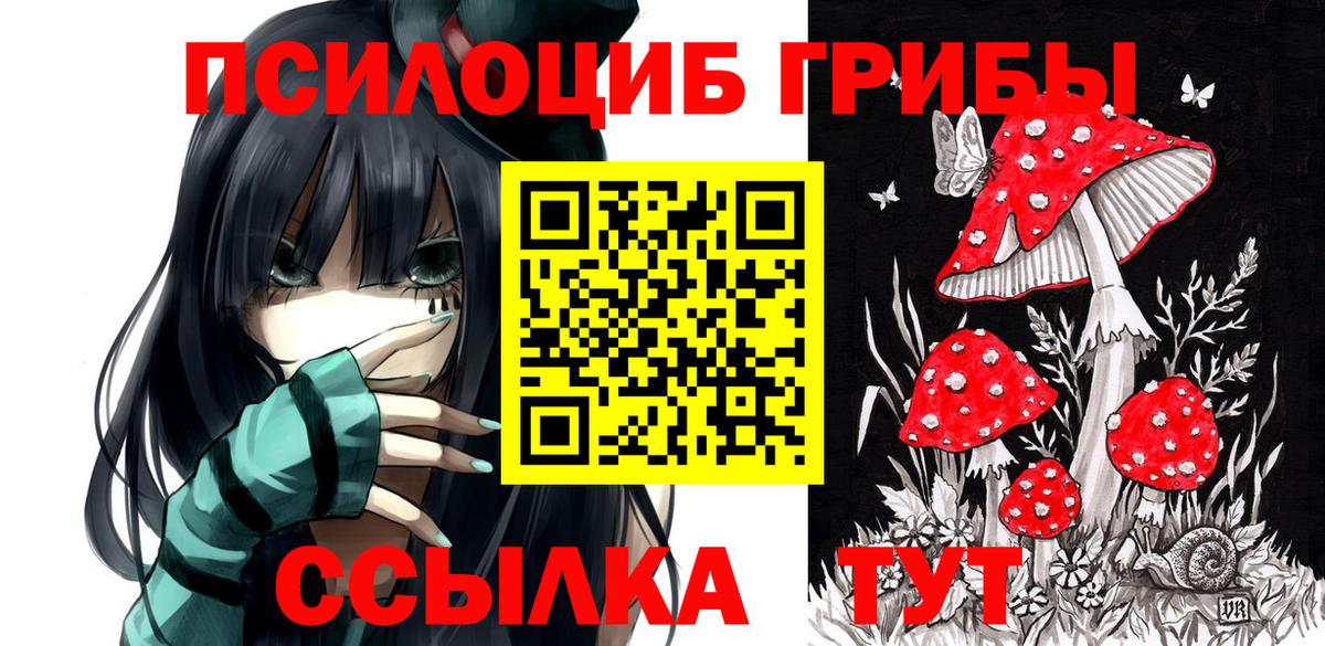 Псилоцибиновые грибы прущие грибы  Вход с VPN  Донецк 